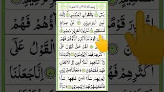 Surah Yasin lofiquran [upl. by Yluj916]