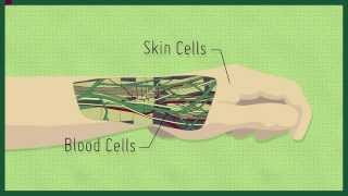 StemCellShorts  What are induced pluripotent stem cells Narrated by Dr Mick Bhatia [upl. by Tiana]