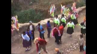 Navidad de Veracruz  Totos  Cangallo Godofredo Quichca [upl. by Marijo]