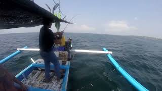 Fishing at Jimbaran Bay Bali [upl. by Philine12]