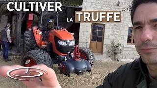 La Truffe visite de lexploitation de Serge Desazars  12  2017 [upl. by Averir]