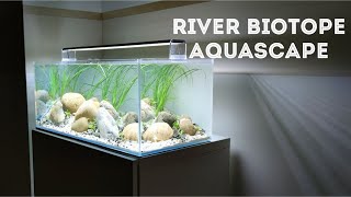 How to Aquascape a River Biotope Aquarium Step by Step Tutorial [upl. by Souvaine]