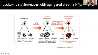 Sphingosine1phosphate signaling modulation for the treatment of acute myeloid leukemia AML [upl. by Eened]