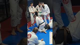 Armlock da passagem da meia guarda bjj graciebarra jiujitsu bjjcria jiujitsunaveia [upl. by Trillbee]