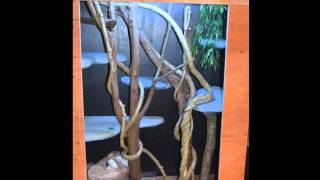 Diy tree monitor enclosure [upl. by Cecilia]