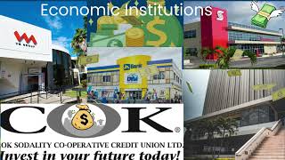 Economic Institutions [upl. by Nosrettap]