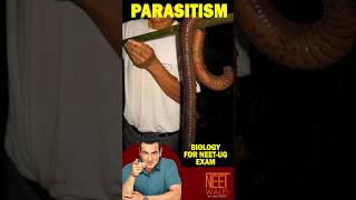 What is PARASITISM  difference between parasite and Host Biology for NEET UG EXAM  neet biology [upl. by Ivens]