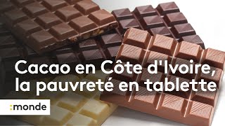 Cacao  la pauvreté en tablette [upl. by Ram471]