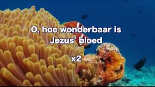 Opwekking 002 O hoe wonderbaar is Jezus bloed 1B [upl. by Viole]