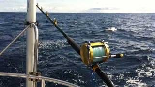 Fishing Setup  Fishing from a sailboat [upl. by Martijn]