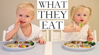 What Our VEGANPLANTBASED Children Eat PART 12 [upl. by Ylagam]