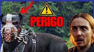 TOP 10 Cachorros Mais Inteligentes e Perigosos do MUNDO [upl. by Nelg]