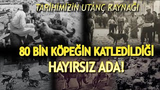 TARİMİZİN KARA LEKESİ OLAN HAYIRSIZ ADA VAKASINDA NE OLMUŞTUR SİVRİ ADA NEDEN HAYIRSIZ ADA OLDU [upl. by Skier86]