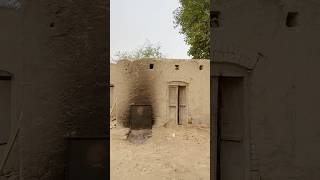 A Day In The Peaceful Village  Punjab Pakistan shorts [upl. by Ityak]