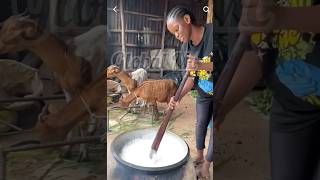 The real village girl 🤣trending funny markangelcomedy comedy latestnews amapiano music 2024 [upl. by Haliak251]