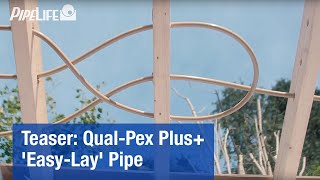 Teaser Introducing our New QualPex Plus “EasyLay” Pipe [upl. by Annoiek515]