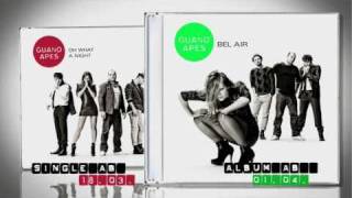 Guano Apes  Bel Air Teaser [upl. by Anelliw]