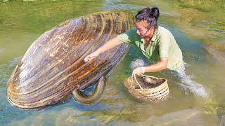 Freshwater eels entwine clams and the pearl treasure inside is particularly charming [upl. by Anilahs343]