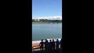 Crew Made up of Ridley College Alumni Win Quad Race at Royal Canadian Henley [upl. by Harlen]