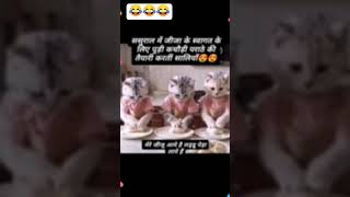 Jija ji aaye h sortvideo trendingshorts [upl. by Elehcir911]