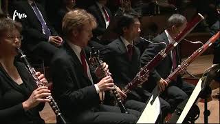 Beethoven Symphony no6 Bassoon melody [upl. by Anerbas]