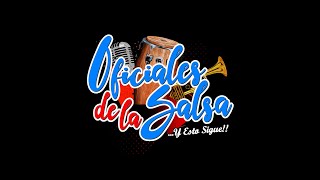 Bandolera  Oficiales De La Salsa  Piura Cover [upl. by Hemminger]