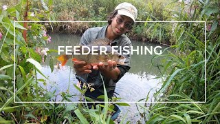 Feeder Fishing on the River Rother  Monsters and Maggots  Quiver Tip [upl. by Ardena395]