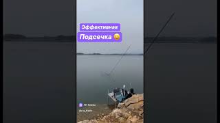 😂 fishing carp рыбалка carpfishing рыбалка2024 карп рек carps bassfishing carpfishinglife [upl. by Remark]