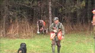 hunting Dog  Entraînement Jacques et Claude avec Octane amp Lee [upl. by Eugor]