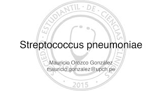 Streptococcus pneumoniae [upl. by Ylrebmic]