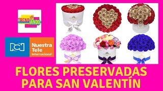 Arreglos con flores preservadas son la tendencia para regalar en San Valentín [upl. by Allemac]