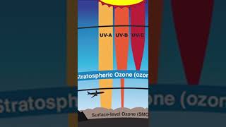 Stratospheric ozone amp Tropospheric ozone upsc faizulsir uppsc bpsc ozone rpsc news shorts [upl. by Aissatan]