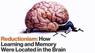 How Reductionism Uncovered Secrets of Longterm and Shortterm Memory  Eric Kandel  Big Think [upl. by Sucy]