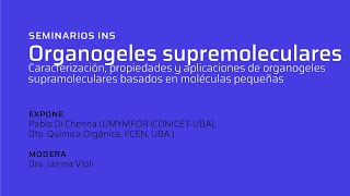 Organogeles supramoleculares Por Pablo Di Chenna [upl. by Ydnor]