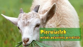 Algorytmy Obliczanie pierwiastka – metoda połowienia przedziału [upl. by Miche282]