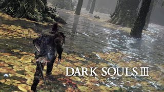 DARK SOULS 3  8 Manguetown [upl. by Atinnor]