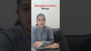 Mangifera Indica  Indian Mango with GI Tags shorts currentaffairs gkshorts [upl. by Nnylyma]