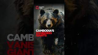 TRAILER CAMBODIAS VANISHING GIANTS [upl. by Ethban189]