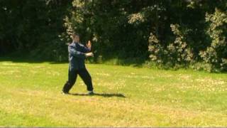 Wudang Tai Chi Handform  Kapser Larsenmpg [upl. by Indnahc]