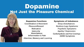 Demystifying Neurotransmitters Serotonin Dopamine and Beyond [upl. by Iridis519]