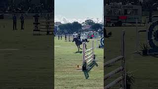 Horse Show Jumping horseshow perth perthroyalshow [upl. by Sallyanne]