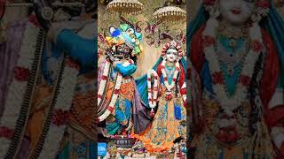 Girdhari Lal Nache Shyam Gopal radheradhejapakaro shortvideo 🙏🙏🙏 [upl. by Ellinad]