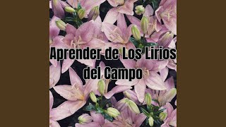 Aprender de los Lirios del Campo [upl. by Ardnuasak]