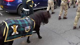 The Atholl HighlandersThe Glendaruel Highlanders  The Black Watch  Dunfermline 2018 4KUHD [upl. by Asylem]