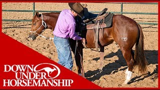 Clinton Anderson An Overview of Starting a Colt  Downunder Horsemanship [upl. by Nnov]