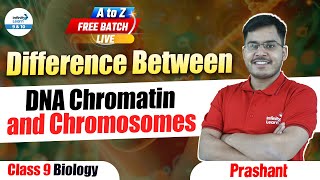 Difference Between DNA Chromatin and Chromosomes  Class 9 Biology  LIVE  InfinityLearn910 [upl. by Dekeles]