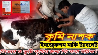 গরুর কলিজা কৃমি ও পেটের কৃমি হলে করণীয় কী  ইনজেকশন নাকি ট্যাবলেট  খামার বাড়ি [upl. by Llertnahs]