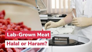 LabGrown Meat Halal or Haram [upl. by Abehshtab772]