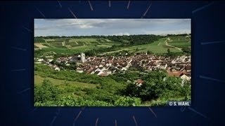 Carnets de voyage  les randonnées de Bourgogne et de Bretagne [upl. by Jadda]