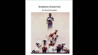 Shimbungu Shamutoko audio book part 5 [upl. by Shayla]